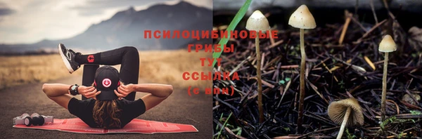 наркотики Богородицк