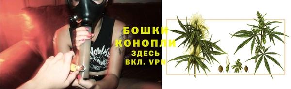 крисы Богданович