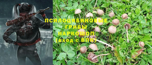 2c-b Богородск