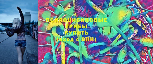 крисы Богданович